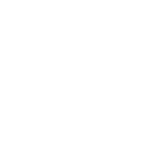 Logo Fesh Living Piesendorf mit Penthouse